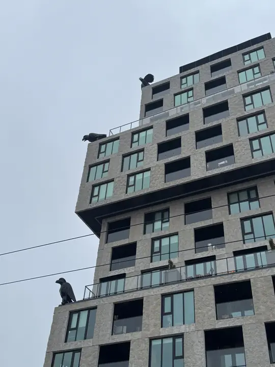 ACM & Composite siding — alma composite panel installation (Alma, Vancouver)