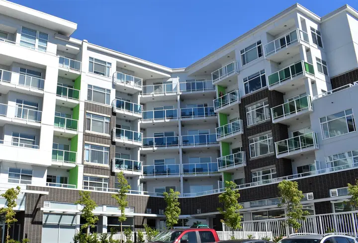 Fibre Cement siding — muse hardie panel installation (Muse, Delta)