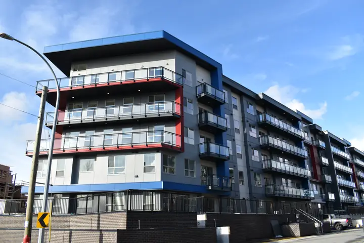 Fibre Cement siding — skyline cementitious panels (Skyline, Langley)